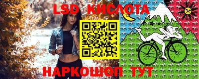 стафф Пыть-Ях